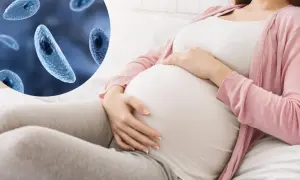 Ciężarna kobieta i pasożyty Toxoplasma gondii. Toksoplazmoza może stanowić zagrożenie dla płodu.