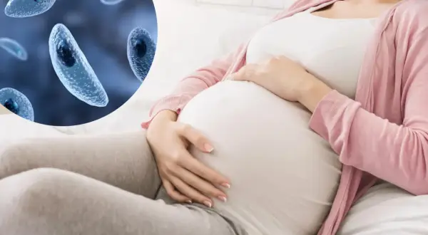 Ciężarna kobieta i pasożyty Toxoplasma gondii. Toksoplazmoza może stanowić zagrożenie dla płodu.