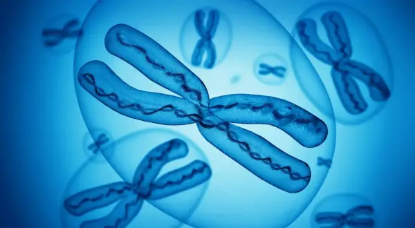 Chromosomy w niebieskich bańkach, jeden z nich jest powiększony. Obraz symbolizuje zespół Turnera.